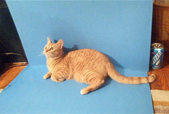 Inez posing