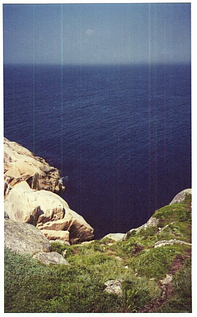 Chebucto Head