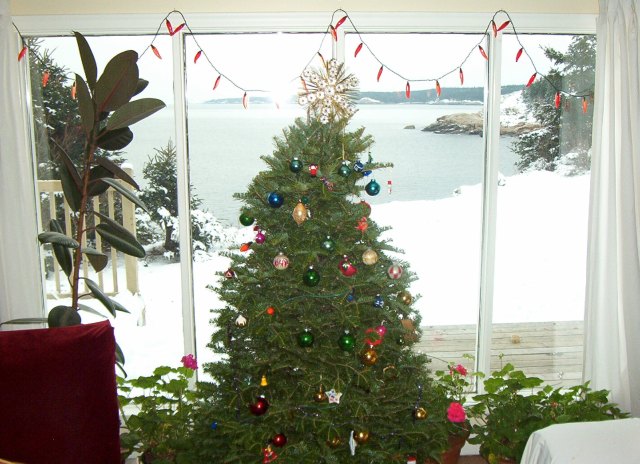 Christmas down by the shore