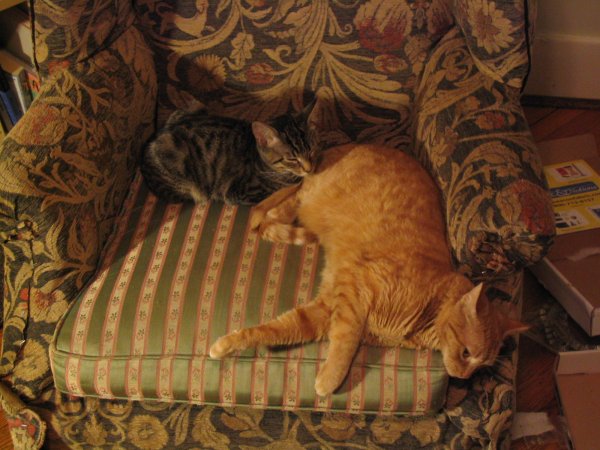 Steve and Inez
