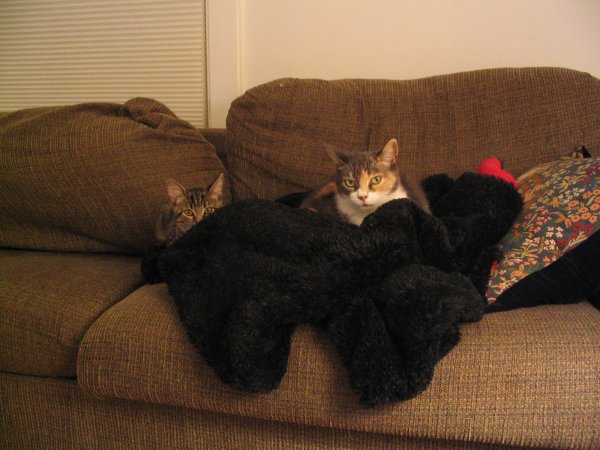 Steve and Ramona